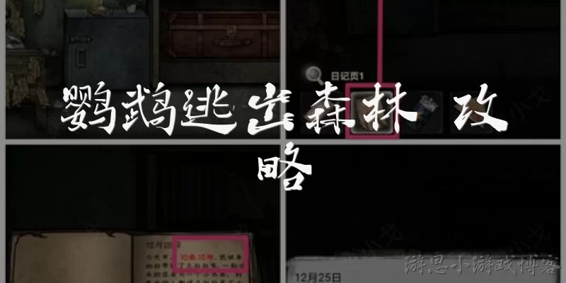 鹦鹉逃出森林 攻略:鹦鹉逃出森林游戏的基本玩法是什么？